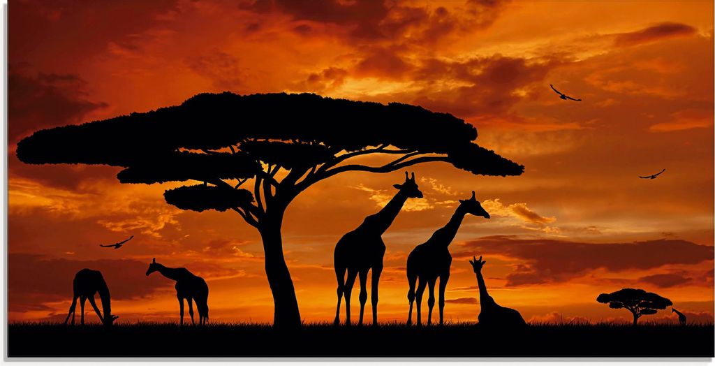 ARTland Glasbild Herde von Giraffen im Sonnenuntergang Größe: 100x50 cm