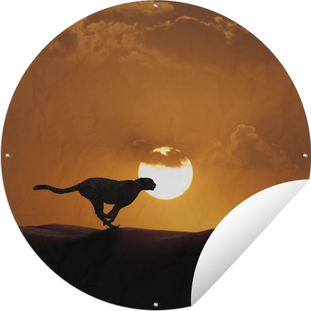 MuchoWow Gartenposter Outdoor-Poster Rund Silhouette eines Geparden in der Wüste Ø 120 cm Gartendeko Rundes Poster draußen