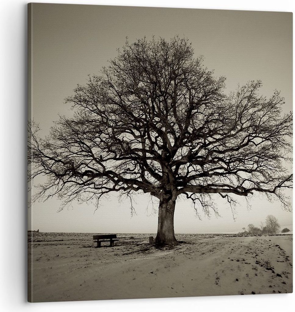 Bild auf Leinwand - Leinwandbild - Einteilig - Baum Schnee Sepia - 60x60cm - Wand Bild - Wanddeko - Wandbilder - Leinwanddruck - Bilder - Wanddekor...