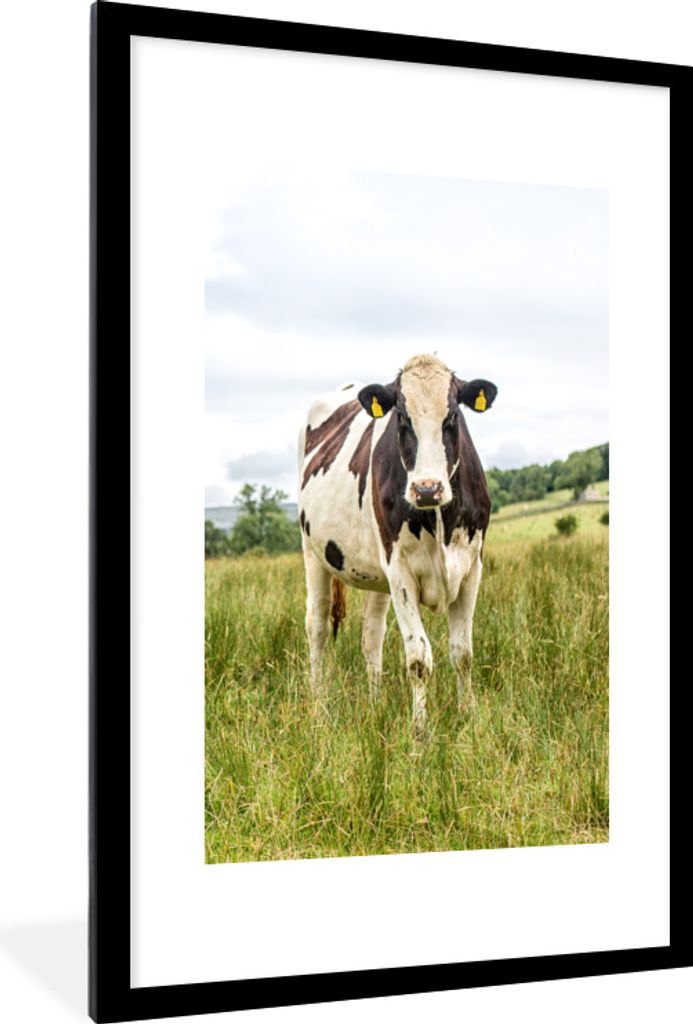 MuchoWow MuchoWow Gerahmtes Poster Kuh - Gras - Schwarz - Weiß 60x90 cm - Poster mit zchwarzem Bilderrahmen - Dekoration - Wandposter Wohnzimm...