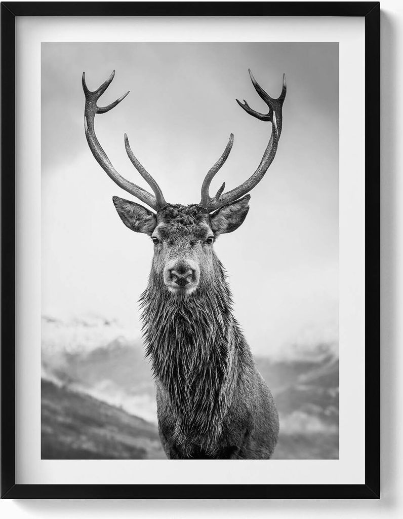 Schwarz-weißes Tier, Hirsch– Wandbild mit Rahmen – Gerahmtes Bild – Wanddekoration – 60x80 cm – Schwarz Rahmen