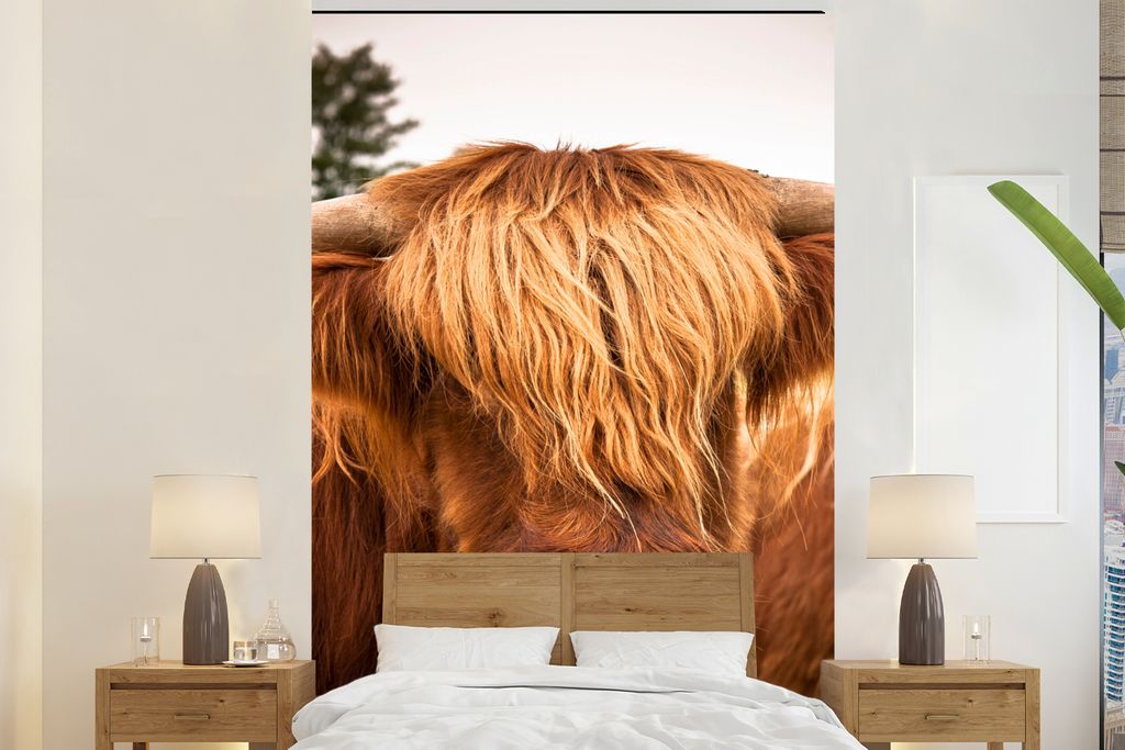 MuchoWow Fototapete für Wohnzimmer oder Schlafzimmer Wandtapete Vinyl Motivtapete Schottische Highlander - Braun - Gras - 195x300 cm - Das Hinte...