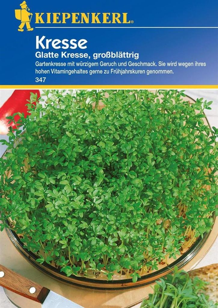 Kiepenkerl Kressesamen Glatte, großblättrig