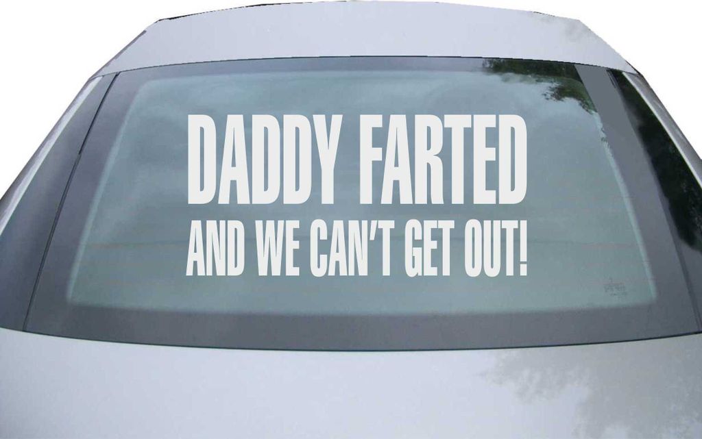 Indigos UG - Aufkleber Heckscheibe & Motorklappe DE6289 - silber - 600x285 mm - Daddy Farted And We Can't Get Out - Auto Scheiben Fenster Heckklapp...