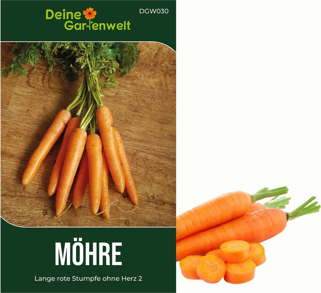 Möhren lange rote Stumpfe ohne Herz 2 Samen - Daucus carota Produktbild 