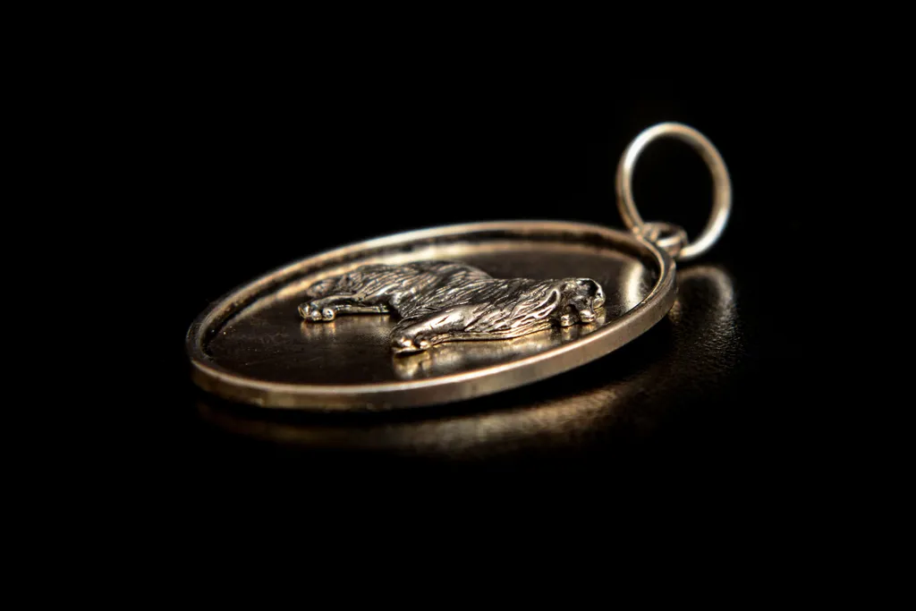 Collier Colley en Argenté Art-Dog - Bijou Unique Pendentif de Chien - 4
