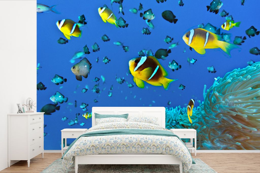 MuchoWow Fototapete für Wohnzimmer oder Schlafzimmer Wandtapete Vinyl Motivtapete Fische - Korallen - Gruppe - 600x400 cm - Vinyltapeten