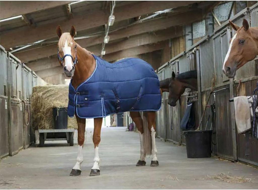 Riding World Standard Stalldecke Blau 215-165 cm Blau 215-165 cm
