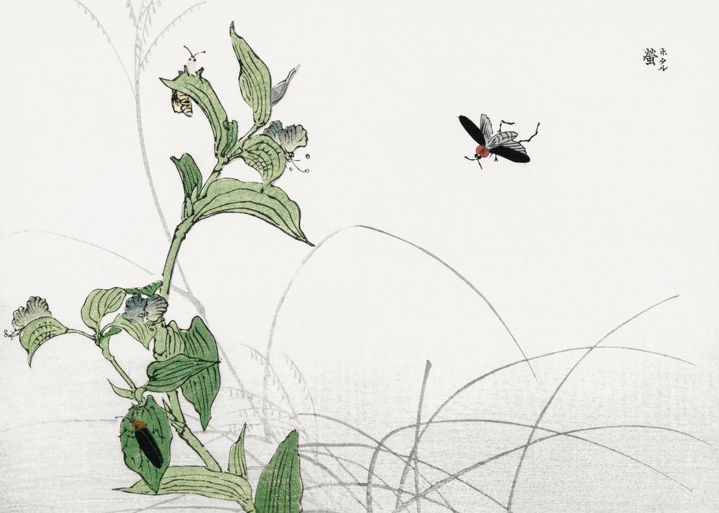 Plakat 35x25cm Glühwürmchen Morimoto Toko Japanisch Vintage für das Wohnzimmer