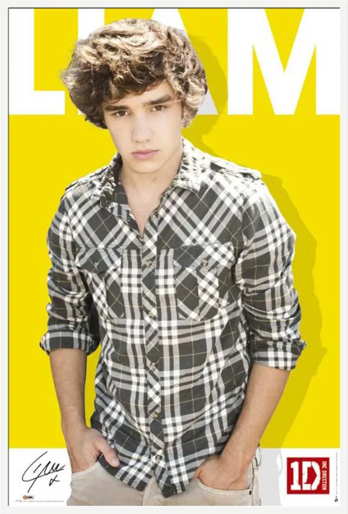 Déco chambre One Direction : Affiche Liam Colour encadrée blanc Shinsuke®