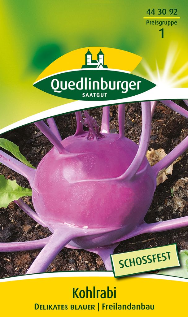 Quedlinburger Saatgut - Kohlrabi Delikateß blauer - Samen - Produktbild 