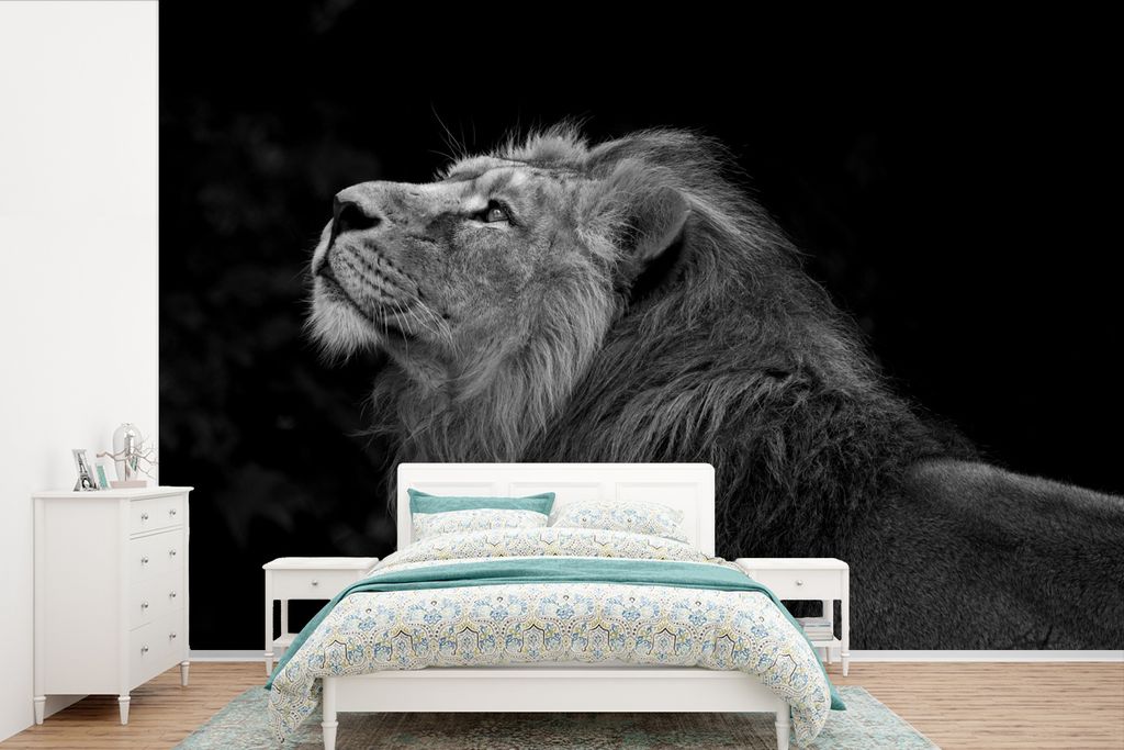 MuchoWow Fototapete für Wohnzimmer oder Schlafzimmer Wandtapete Vinyl Motivtapete Löwe blickt auf schwarzem Hintergrund auf - schwarz und weiß...