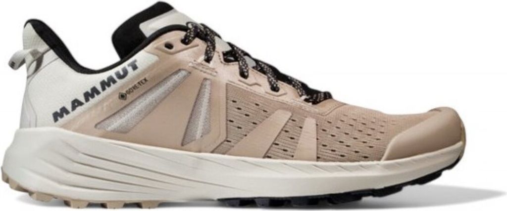 Schuhe Mammut Saentis Tr Low Gtx 3030050907538