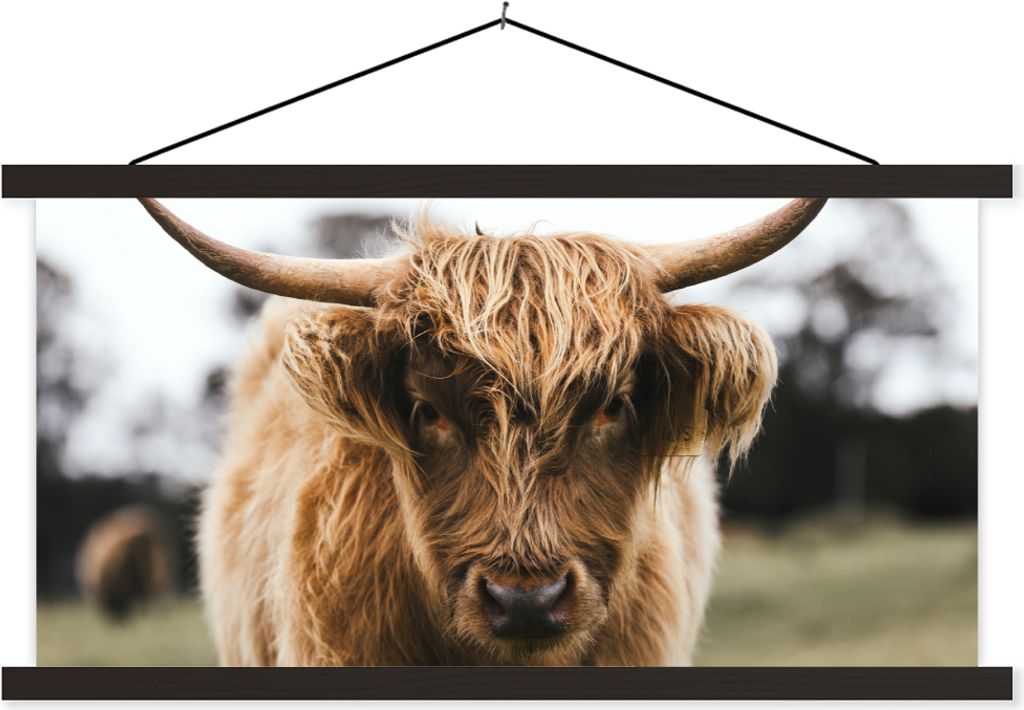 MuchoWow Textilposter Schottisches Hochlandrind - Kuh - Gras - Tiere - Natur 120x60 cm mit schwarzem Rahmen - Dekoration Schlafzimmer
