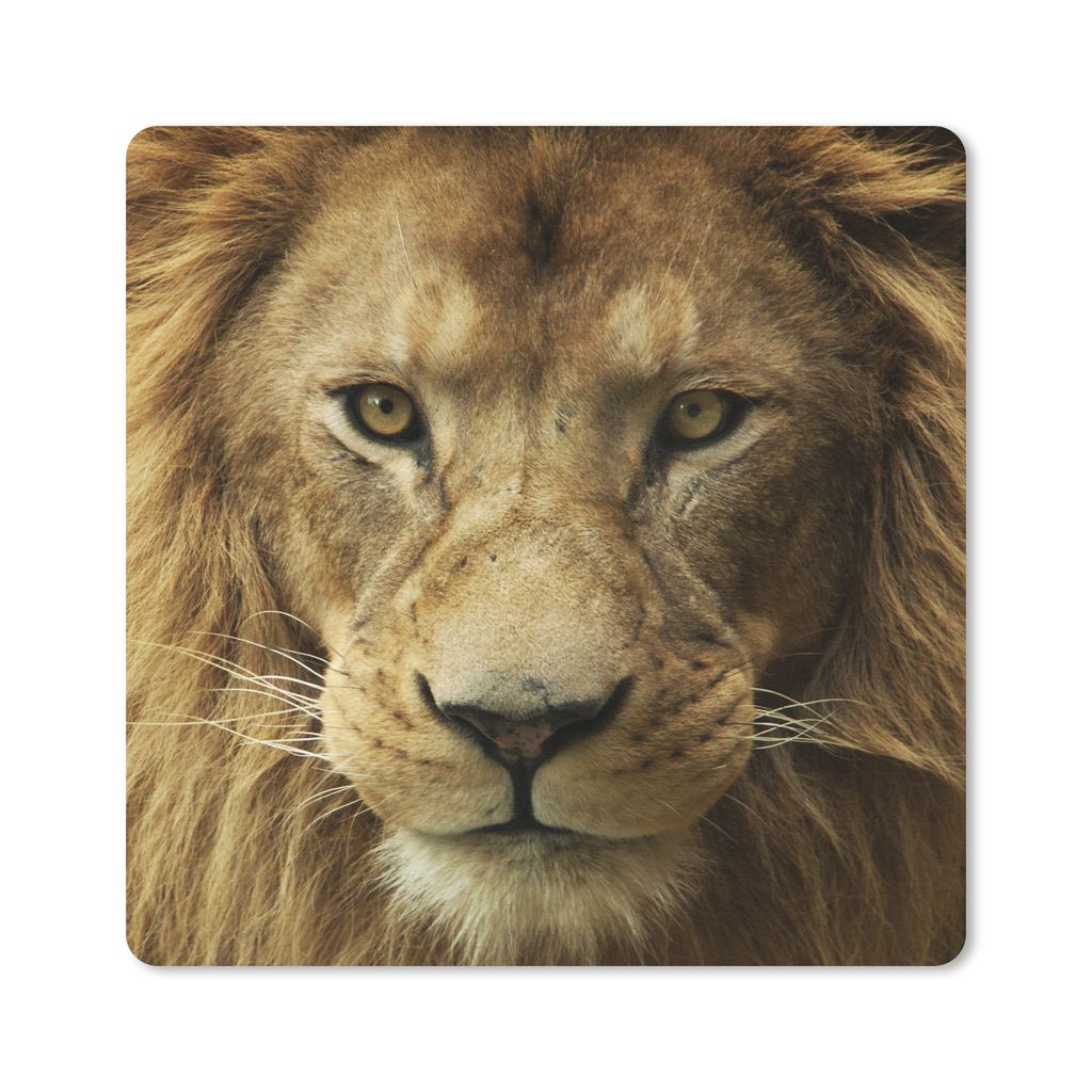 MuchoWow Mauspad Mousepad Afrikanischer Löwe Porträt 20x20 cm - Mousepads - Maus Mat - Pad - Mausunterlage - Desk Mat - Bureauartikeln