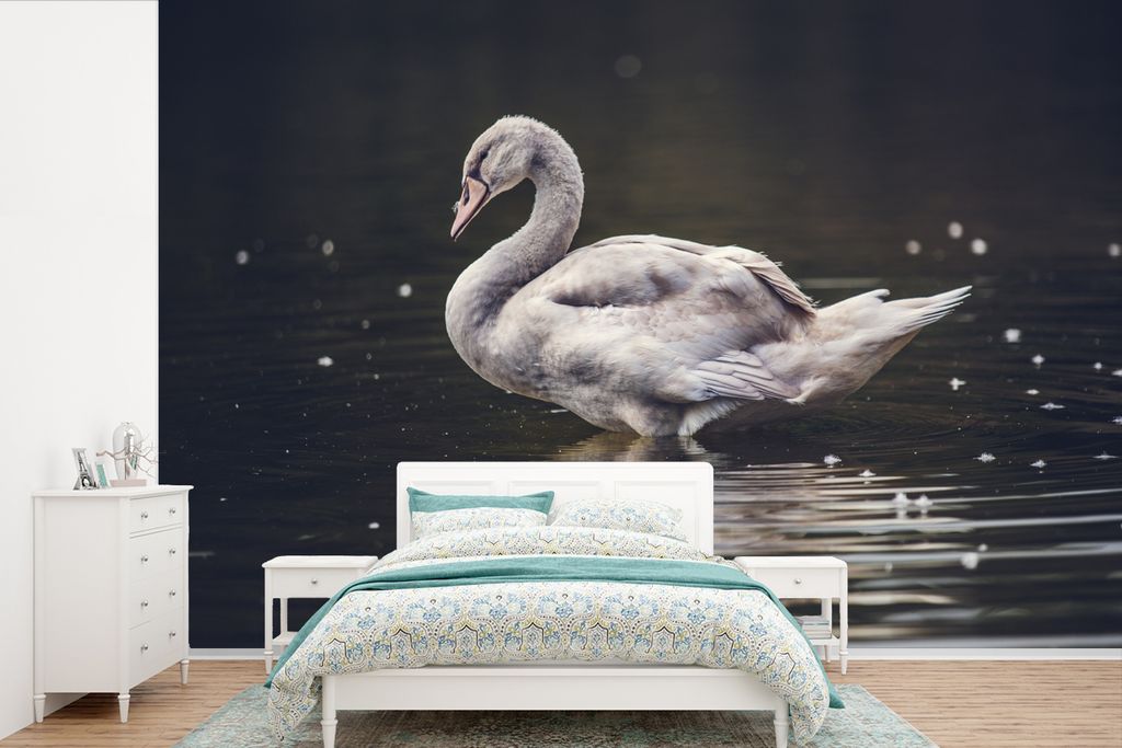 MuchoWow Fototapete für Wohnzimmer oder Schlafzimmer Wandtapete Vinyl Motivtapete Vogel - Schwan - Wasser - 525x350 cm - Das Hintergrundbild