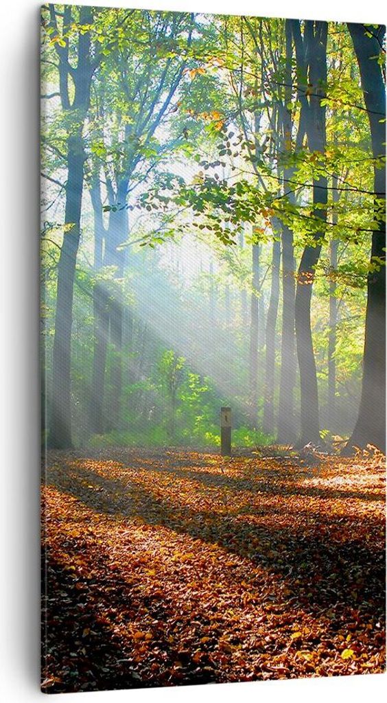 Bild auf Leinwand - Leinwandbild - Wald Blätter Sonne - 45x80cm - Wand Bild - Wanddeko - Wandbilder - Leinwanddruck - Bilder - Kunstdruck - Wandde...