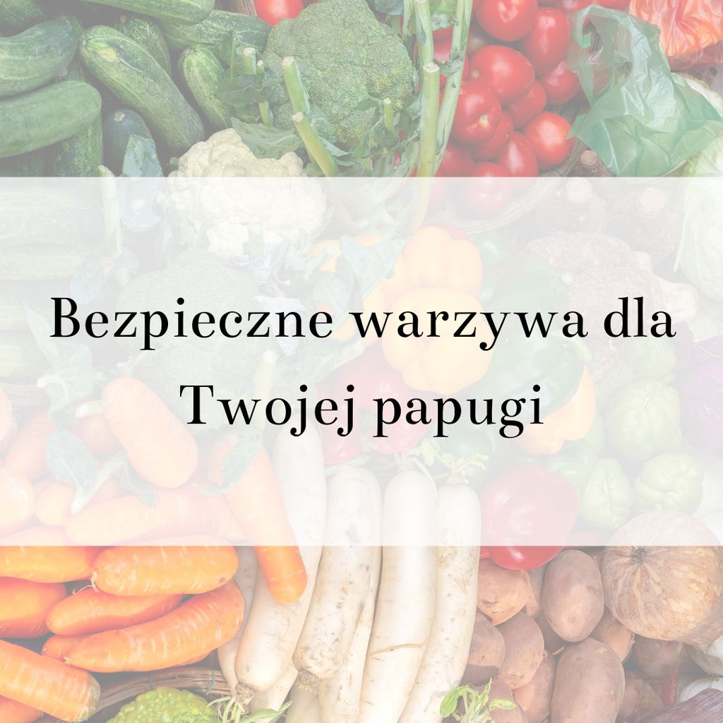 Guide ParrotPlanet- LES LÉGUMES SÛRS POUR VOTRE PAPILLON Image du produit 
