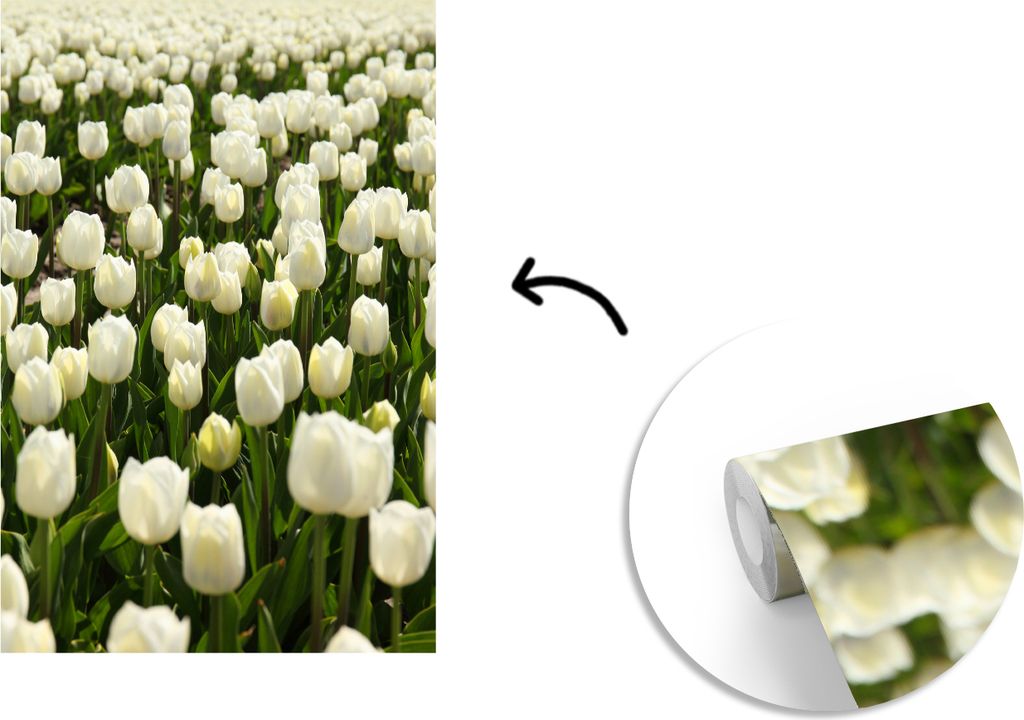 MuchoWow Fototapete für Wohnzimmer oder Schlafzimmer Wandtapete Vinyl Motivtapete Weiße Tulpen auf einem Feld - 190x280 cm - Küche