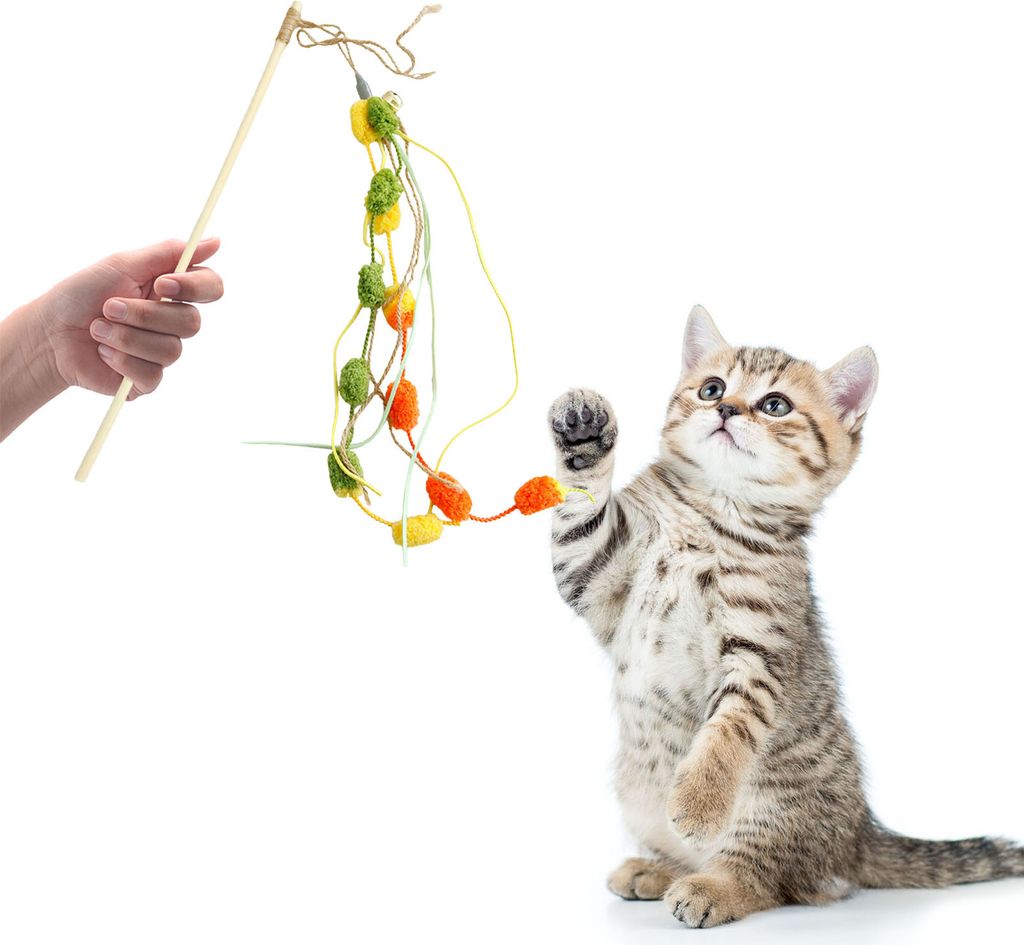 Interaktives Katzenspielzeug mit Glockenton, bissfester Katzen-Teaser-Stick aus Baumwollseil mit Griff, Spielzubehör für Haustiere und Kätzchen,...