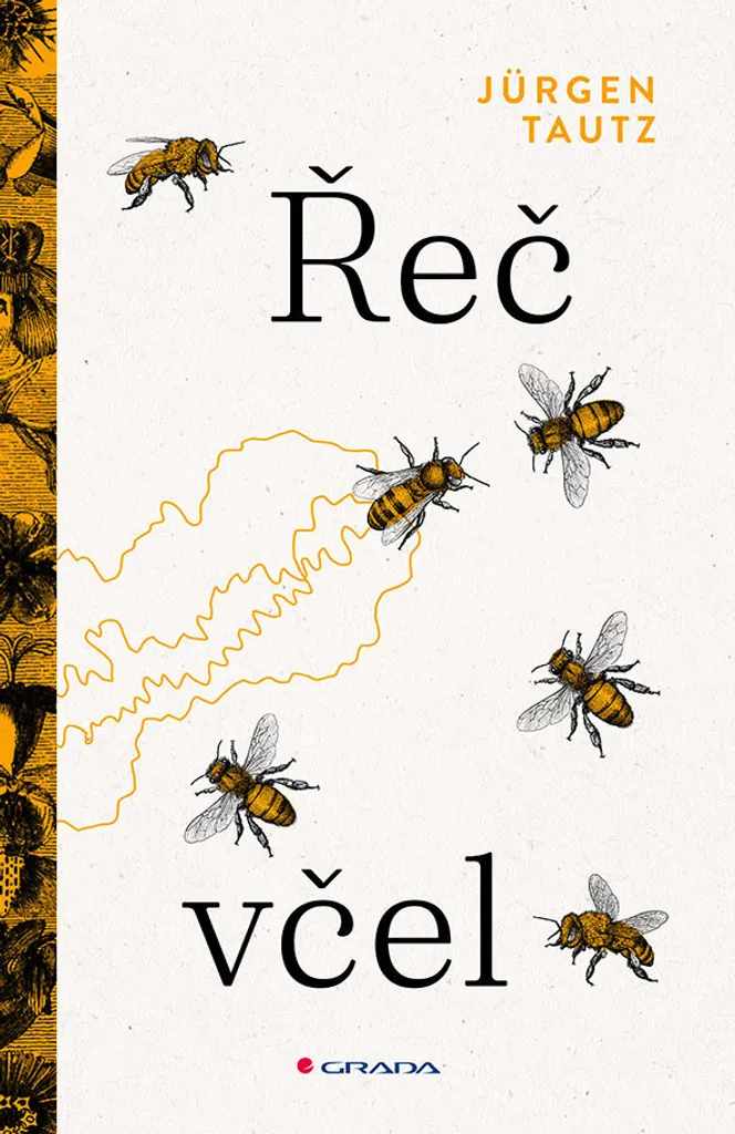 Livre d'Apiculture de Jürgen Tautz : Un Guide Complet sur les Abeilles