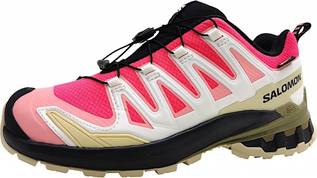 Salomon XA PRO 3D V9 GTX W Rouge Red/Vanilla Ice/Martini Olive 8