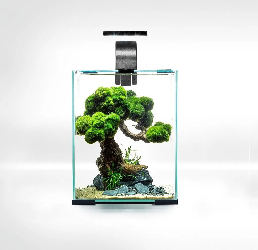 AquaEl Shrimp Set 10 Nero - Nano Acquario Smart con Luce Day & Night