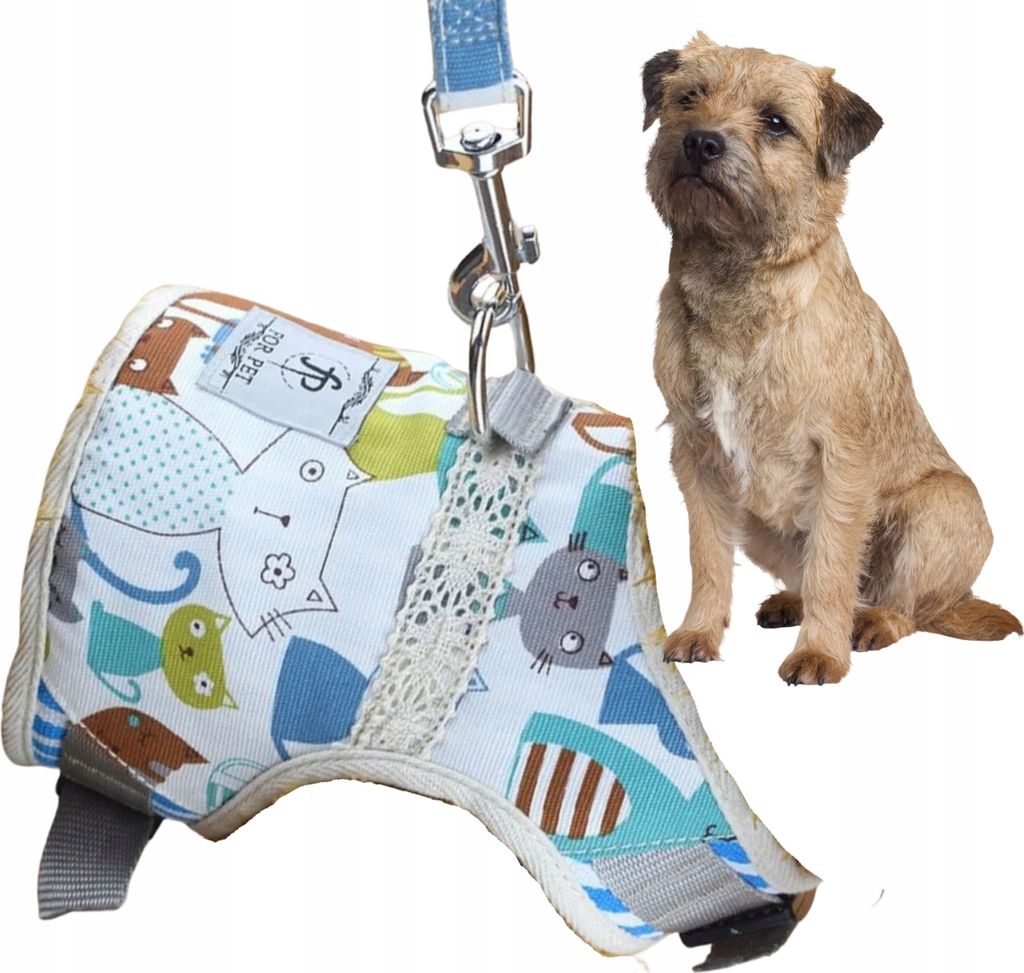 Geschirr + Leine für kleinen Hund Katze Katze XL 36-44cm im Produktbild 