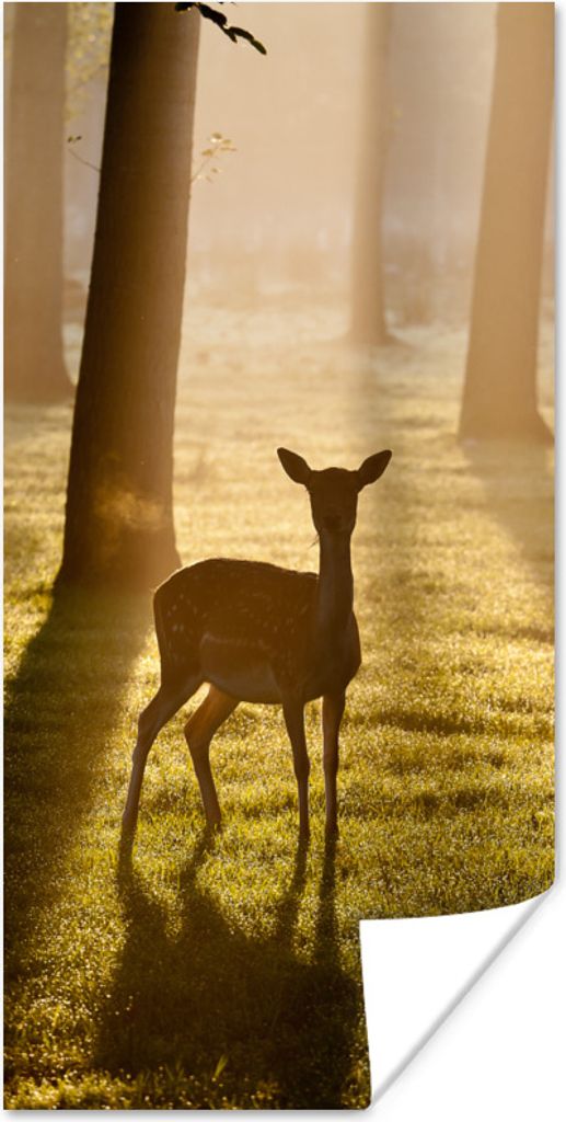 MuchoWow Poster Hirsche - Wald - Sonne 40x80 cm - Dekoration