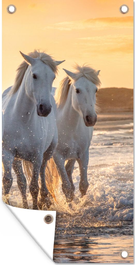 MuchoWow 80x160 cm Outdoor-Poster Gartendeko Sichtschutz Garten Poster für den Garten Pferde - Wasser - Strand - Tiere
