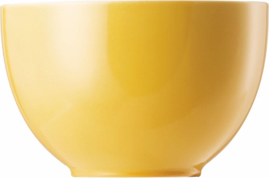 Thomas 10850-408502-15456, Porcelán, 0,45 L Obrázok produktu 