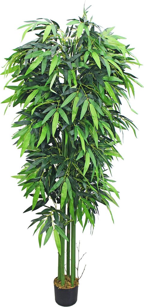 Bambou Grande Géant Plante Arbre Artificielle Artificiel Image du produit 