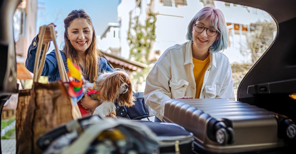 mydays Urlaub mit Hund am Rennsteig für 2 (2 Nächte); Erlebnis verschenken oder selbst erleben; Gutschein für 2 Person(en)