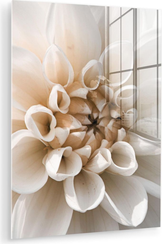 MuchoWow Glasbilder - Bilder auf Wandbild - Foto auf Glas Blumen - Weiß - Natur 30x40 cm Wanddekoration aus Glas - Acrylglasbild - Acrylbilder - W...