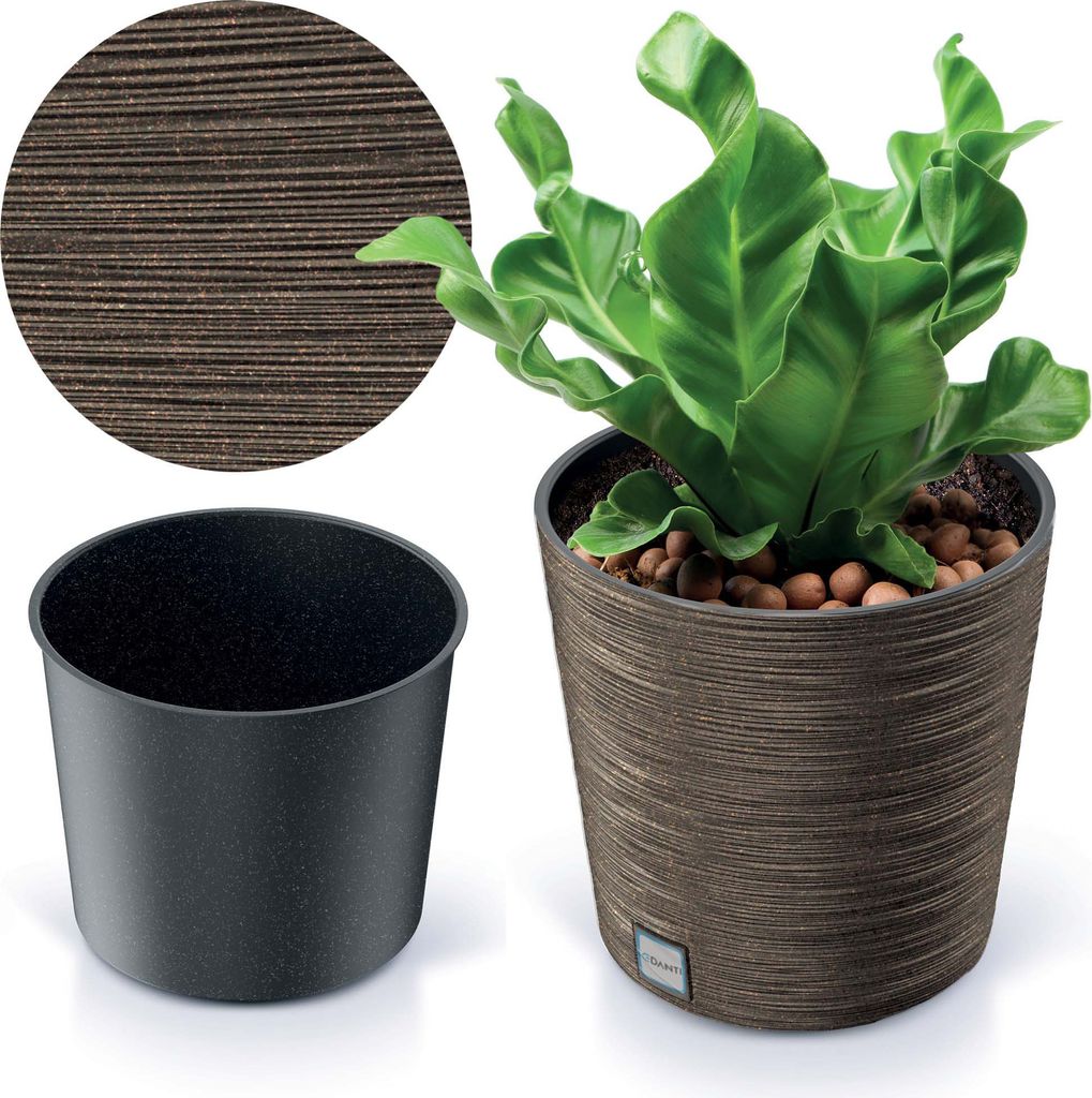 A plant in a decorative pot next to an empty pot and a close-up of the pot's texture.