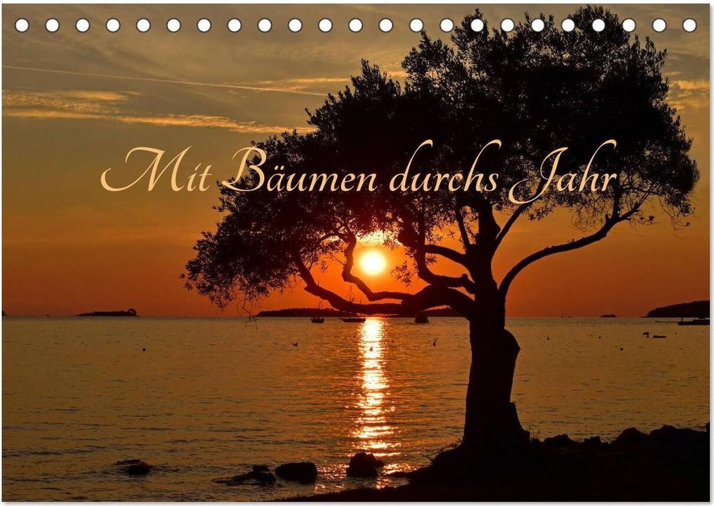 Mit Bäumen durchs Jahr (Tischkalender 2026 DIN A5 quer), CALVENDO Monatskalender