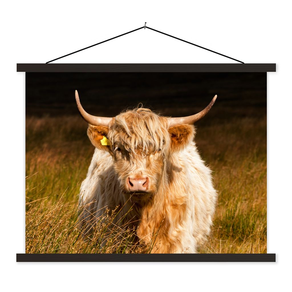MuchoWow Textilposter Schottische Highlander - Licht - Gras - Tiere 120x90 cm mit schwarzem Rahmen - Aufhänger für Poster