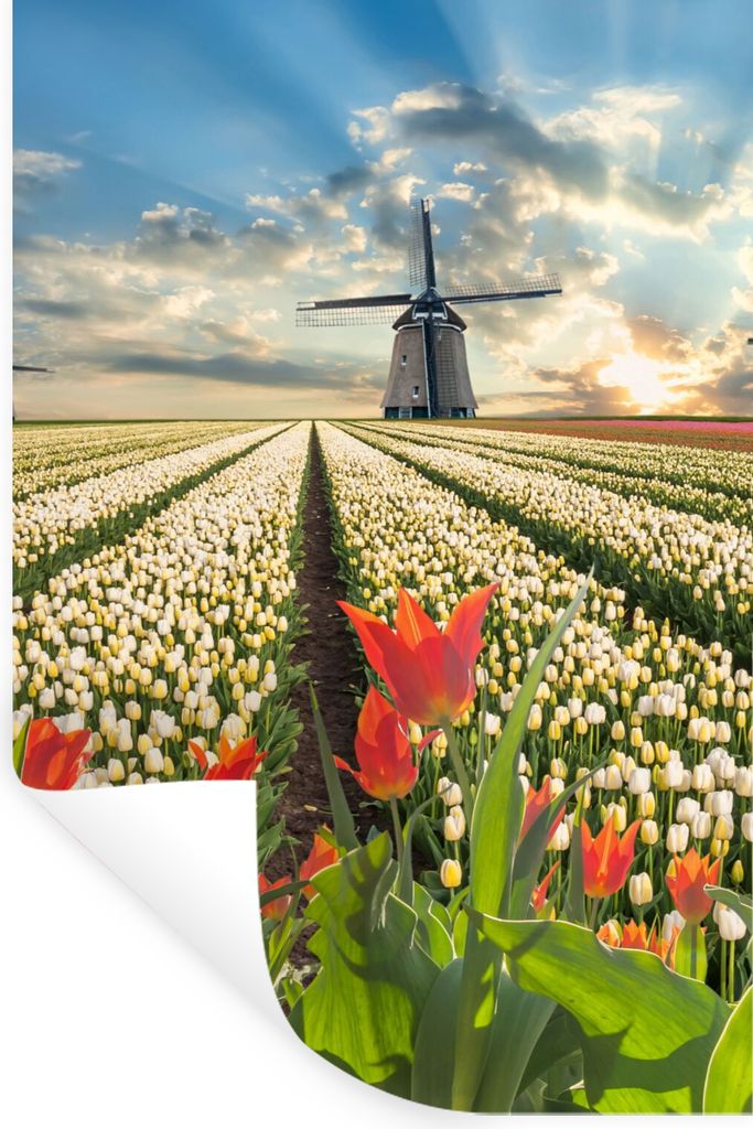 MuchoWow Wandtattoo Wandsticker Wandaufkleber Windmühle - Tulpen - Himmel - Natur 40x60 cm Selbstklebend und Repositionierbar - Wierderverwendba...