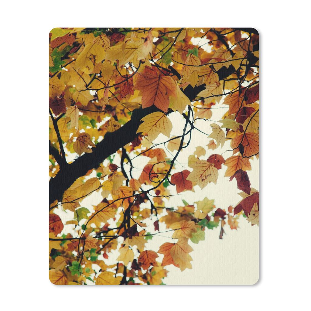 MuchoWow Mauspad Mousepad Bäume - Herbstblätter - Natur 30x40 cm - Mousepads - Maus Mat - Pad - Mausunterlage - Mausmatten