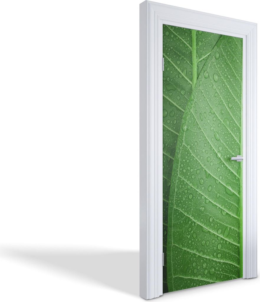 Türfolien Design Selbstklebende Wandsticker Türtapeten - Grüne Blätter mit Tropfen - 75 x 205 cm
