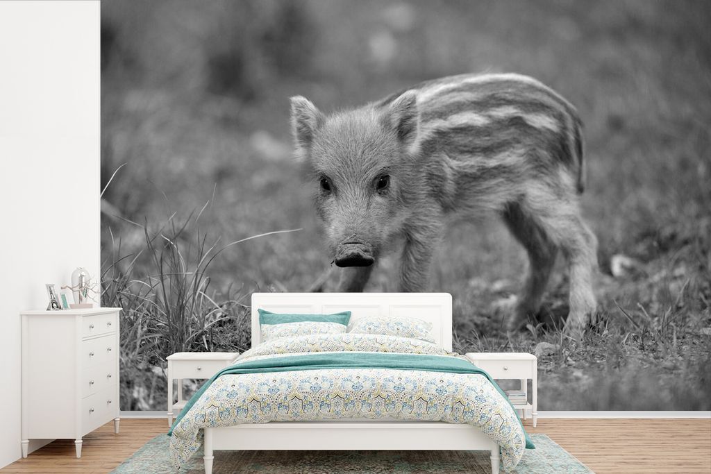 MuchoWow Fototapete für Wohnzimmer oder Schlafzimmer Wandtapete Vinyl Motivtapete Wildschweinkalb im Gras - schwarz und weiß - 360x240 cm - Vin...