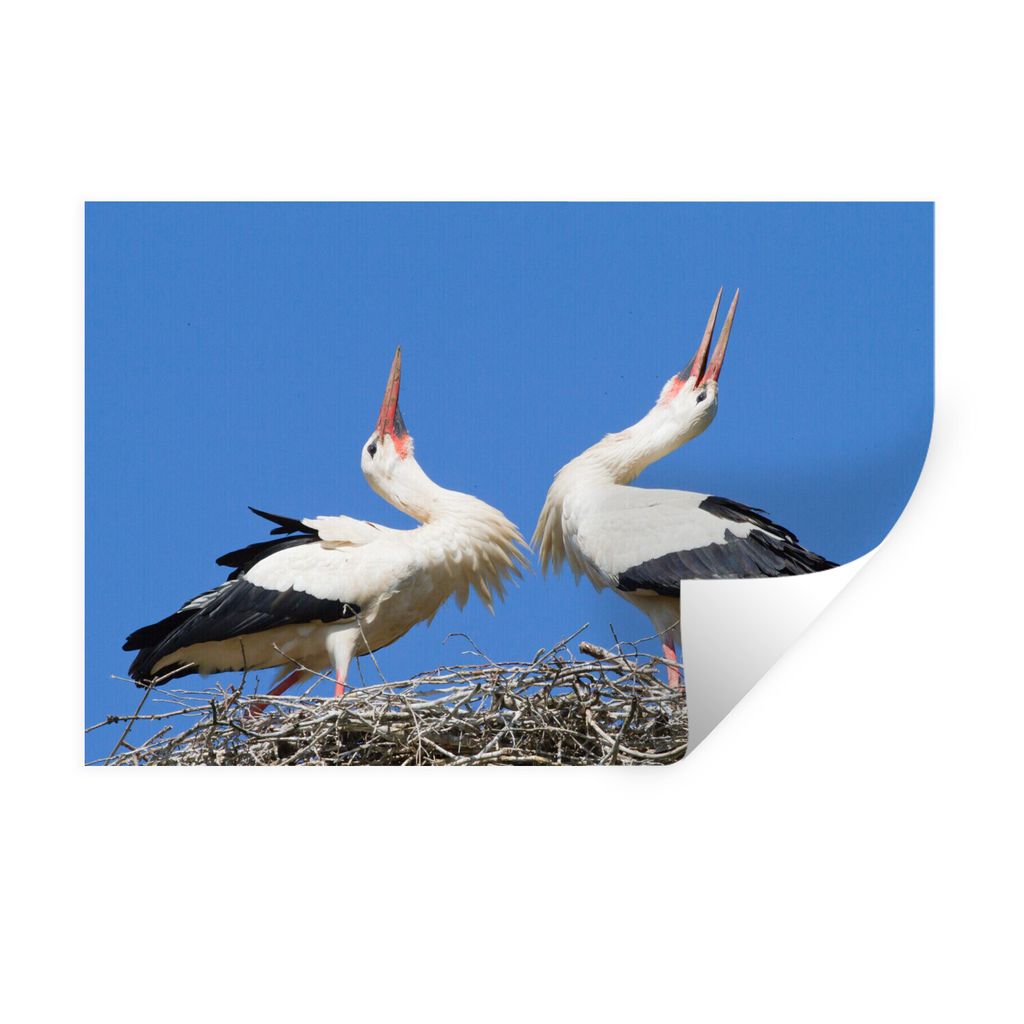 MuchoWow Wandtattoo Wandsticker Wandaufkleber Atemberaubendes Bild von zwei Störchen in ihrem Nest 60x40 cm Selbstklebend und Repositionierbar -...