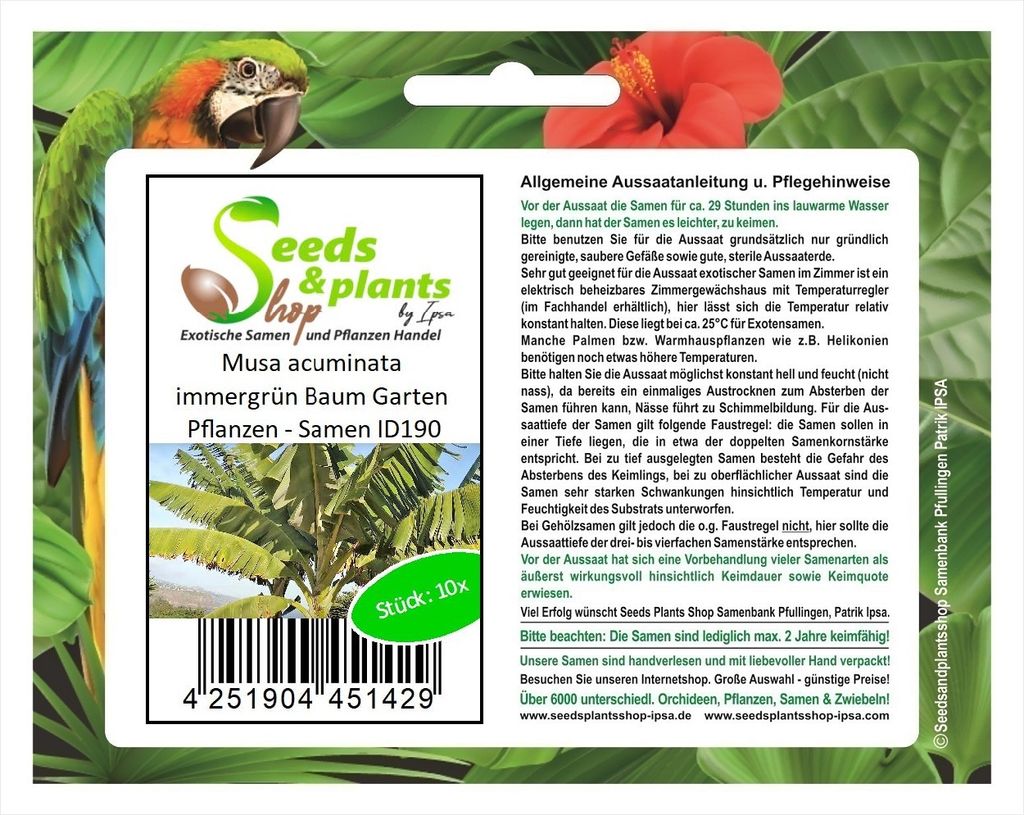 10x Musa acuminata immergrün Baum Garten Pflanzen - Samen ID190