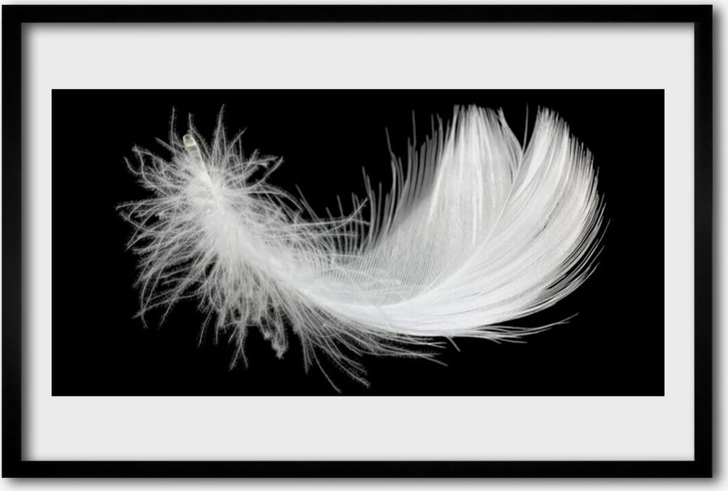 Bild 60x40 MDF-Rahmen Wandkunst Feder-Kunst