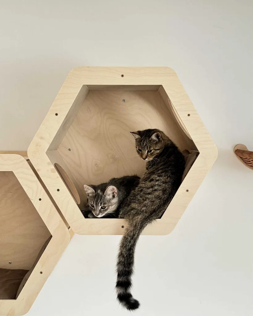 Mensola Gatto Esagonale da Parete 55x49cm - Arredo Design Felino