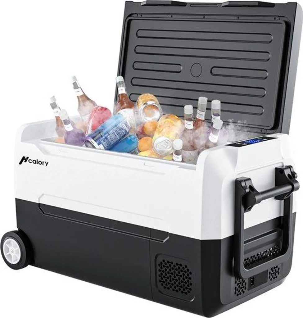 Réfrigérateur 35 L 12-24V Noir et Blanc pour Voiture et Camping-Car