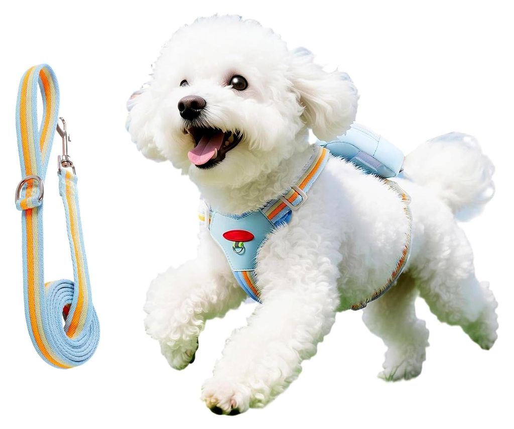 Zugstarkes Hundegeschirr mit Anti-Zug-Griff - Set mit Führleine für kleine, mittlere und große Hunde sowie Welpen für Outdoor-Spaziergänge und...