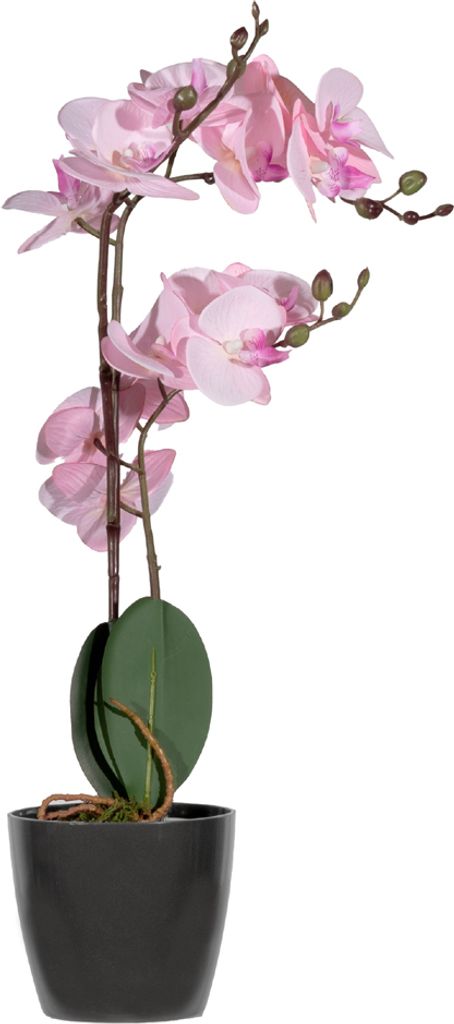 PAPERFLOW Kunstpflanze "Orchidee" rose Höhe: 500 mm