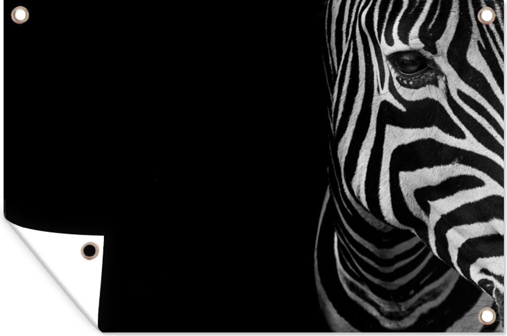 MuchoWow 60x40 cm Outdoor-Poster Gartendeko Sichtschutz Garten Poster für den Garten Tiere - Zebra - Schwarz - Weiß