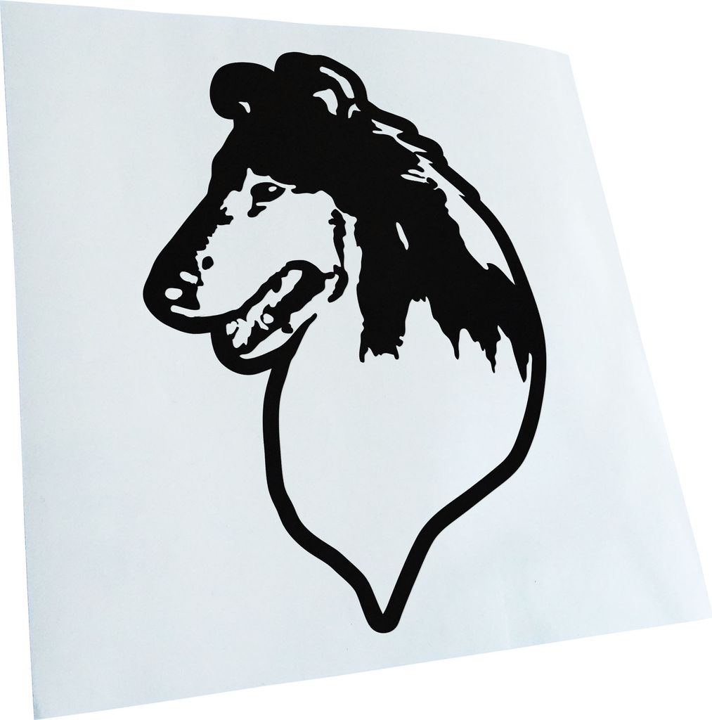 Kiwistar - Autoaufkleber - Collie Hund - Schwarz - 60x43cm - Aufkleber für Auto, Laptop, Fahrrad, LKW, Motorrad mehrfarbig JDM Decal Racing